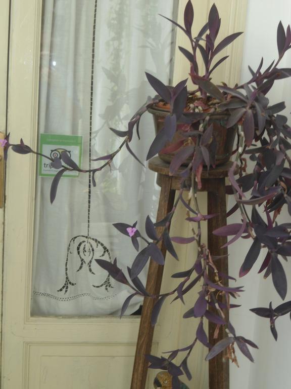 Rosella Bianchi Bed & Breakfast Palermo Phòng bức ảnh